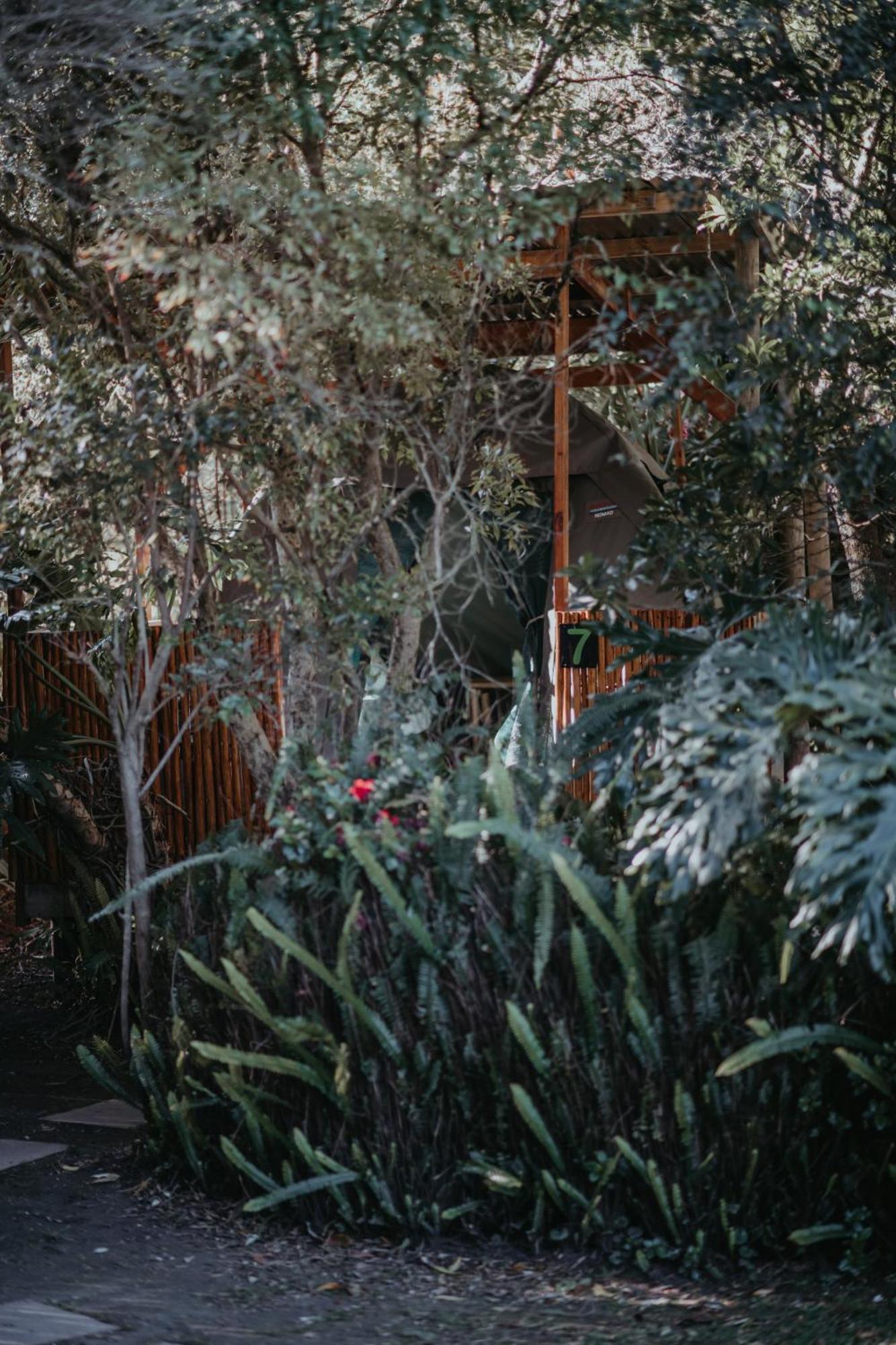 Storms River Forest Lodge Stormsrivier Exterior photo